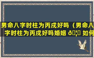 男命八字时柱为丙戌好吗（男命八字时柱为丙戌好吗婚姻 🦟 如何）